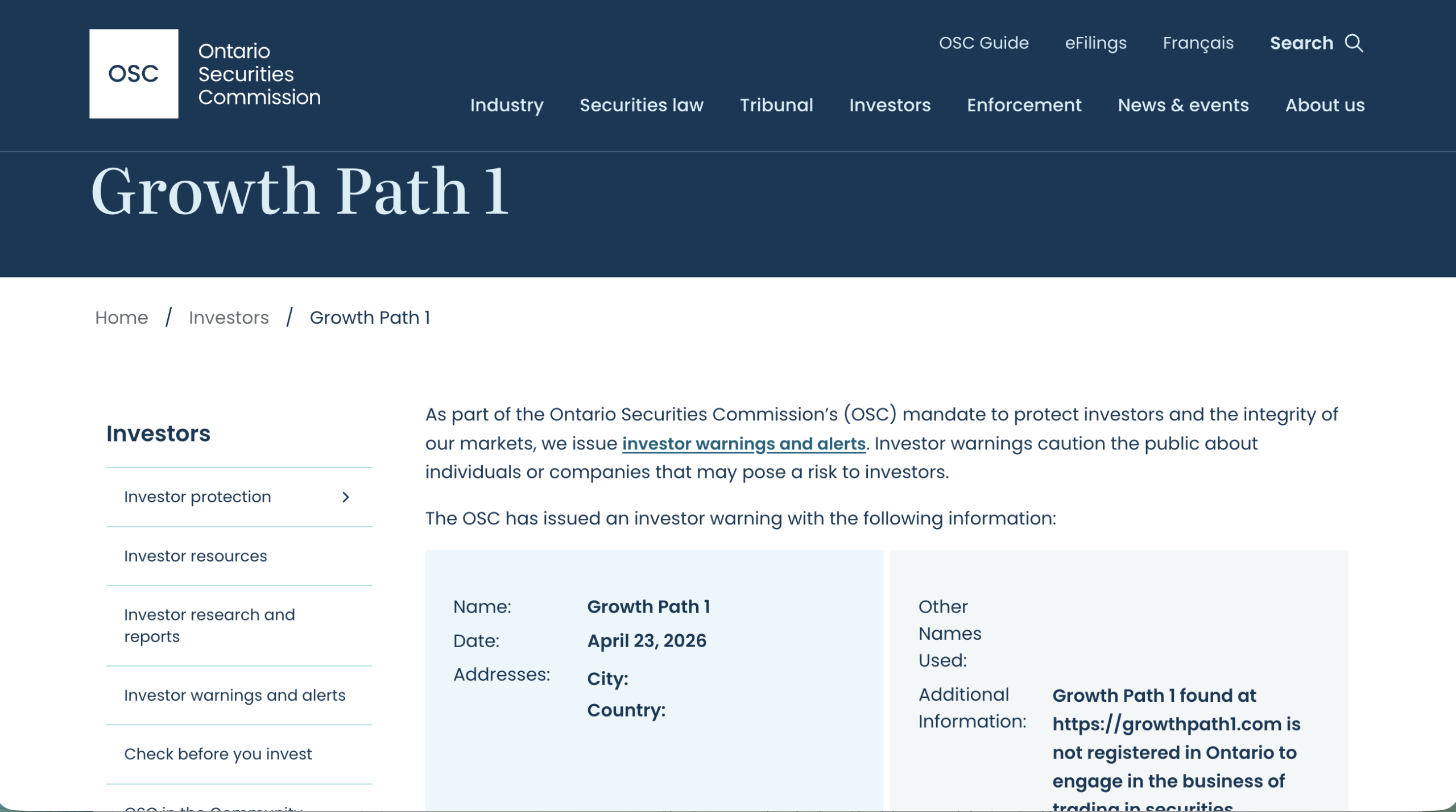 Detailed flowchart outlining GrowthPath1.com marketing strategies