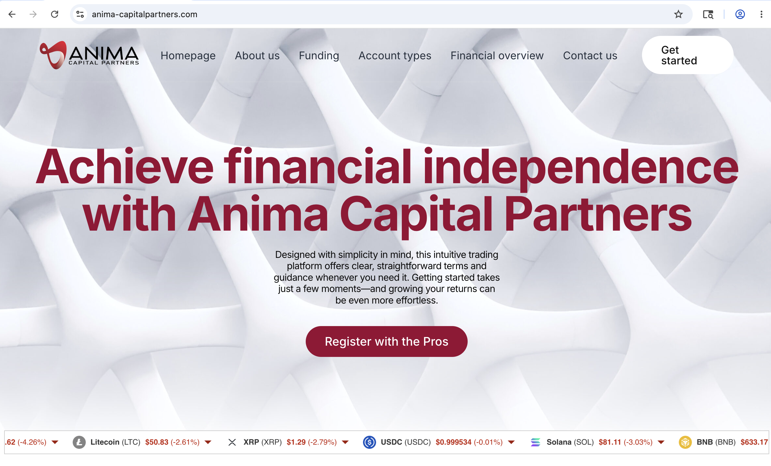 Anima Capital Partners Illustration of a person reviewing financial documents, symbolizing the analysis of investment platforms like Anima Capital Partners.