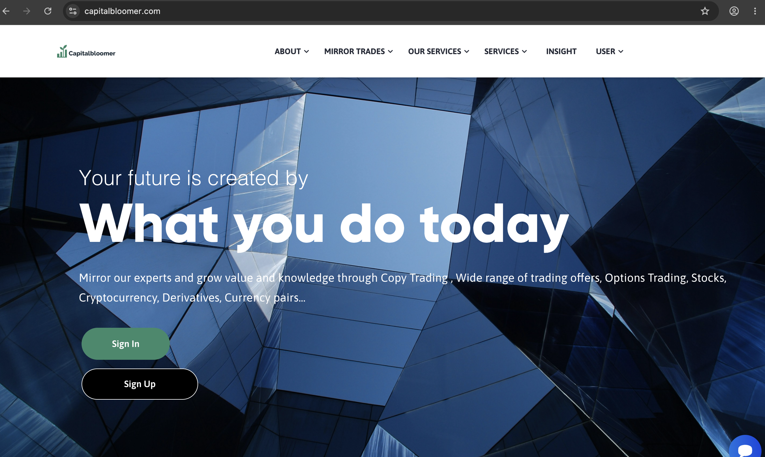 Screenshot of CapitalBloomer.com homepage showing investment options.